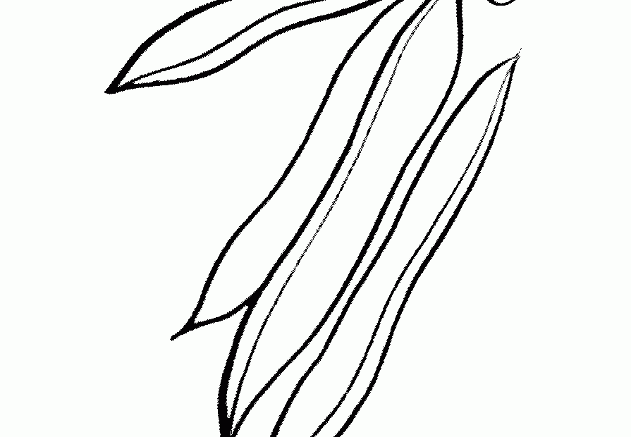 Beans Coloring Sheets For Preschoolers COLORING PAGES PRINTABLE COM