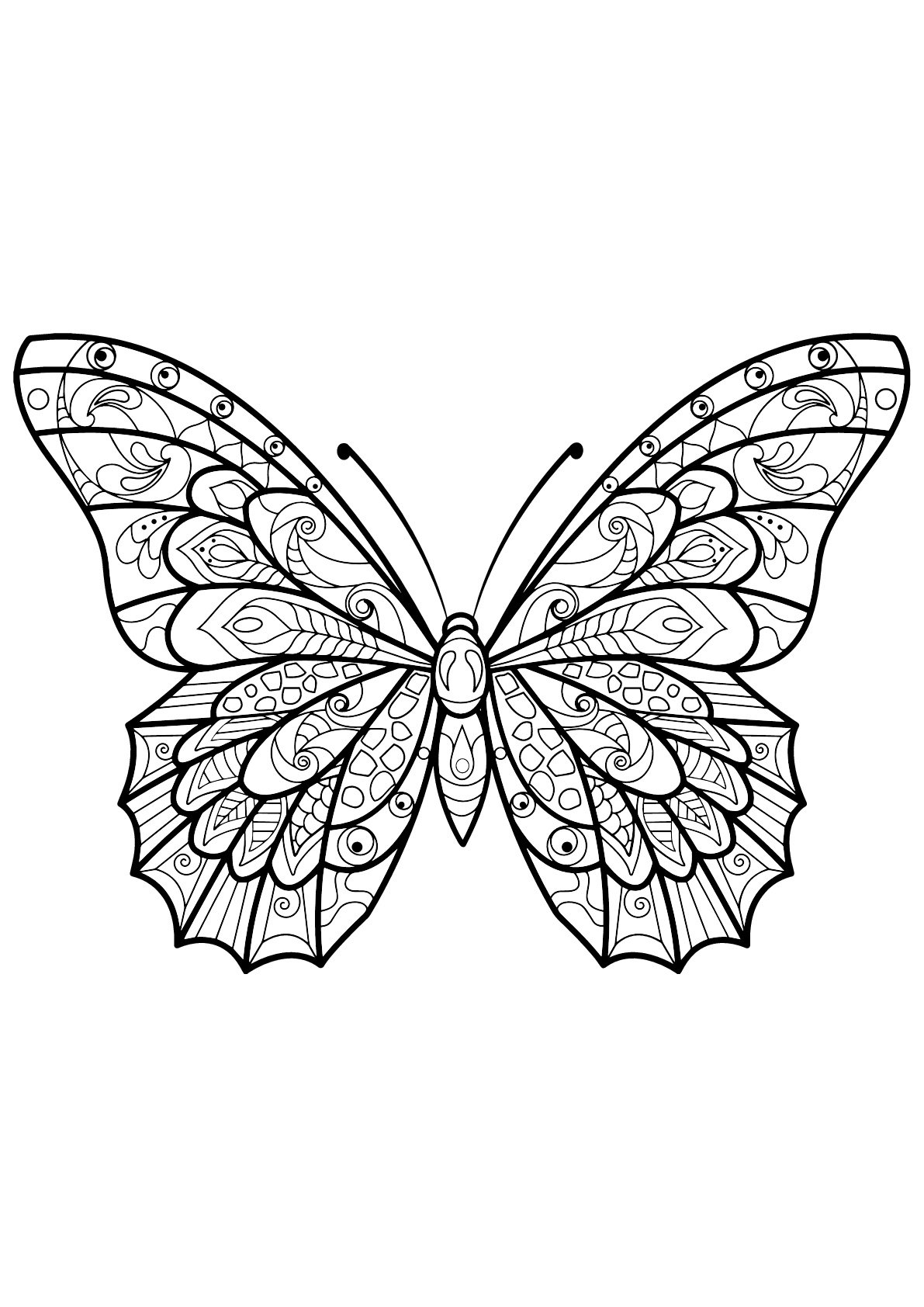 Butterfly Coloring Sheet Free Printable Prntbl 