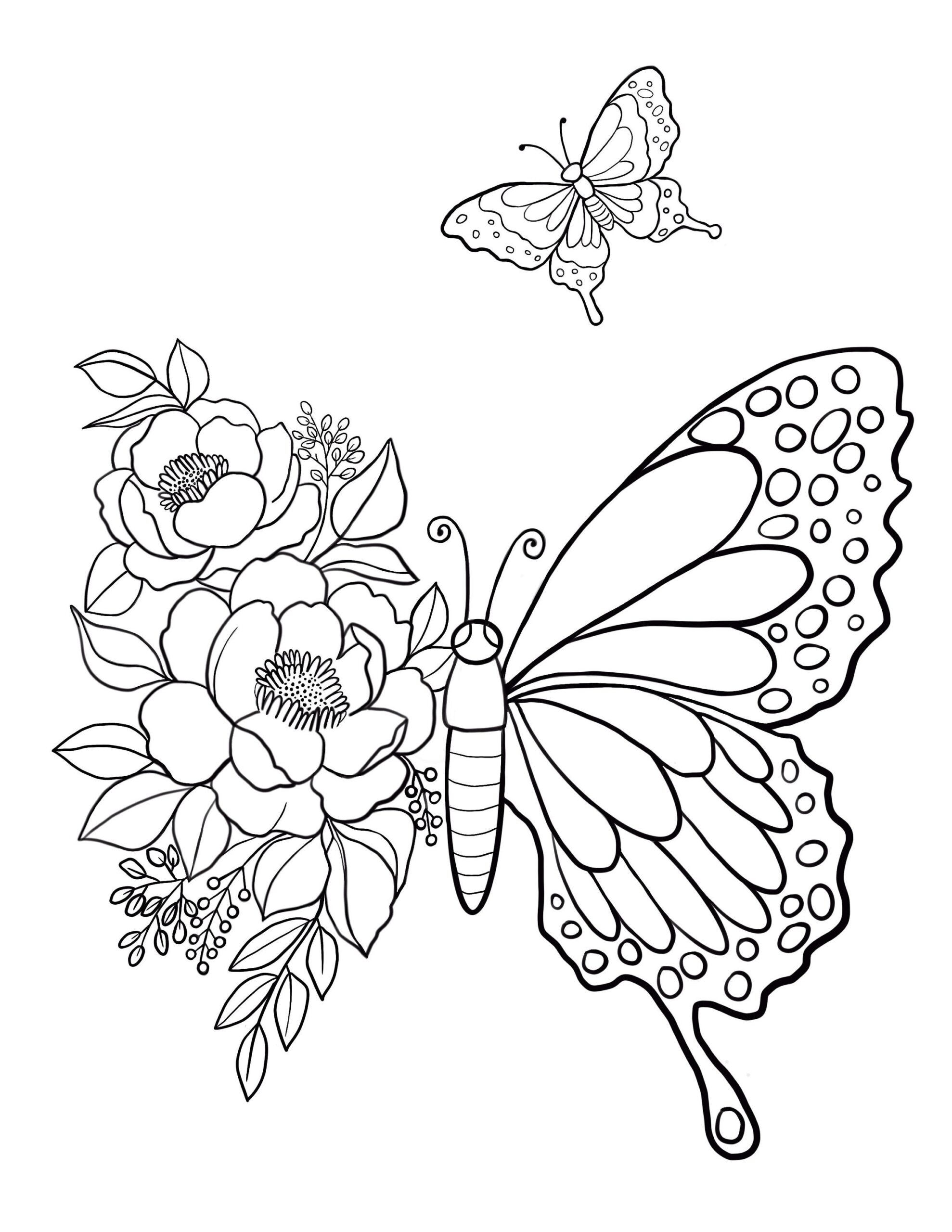 Butterfly Printable Coloring Sheet Coloring Pages Kid Vrogue co