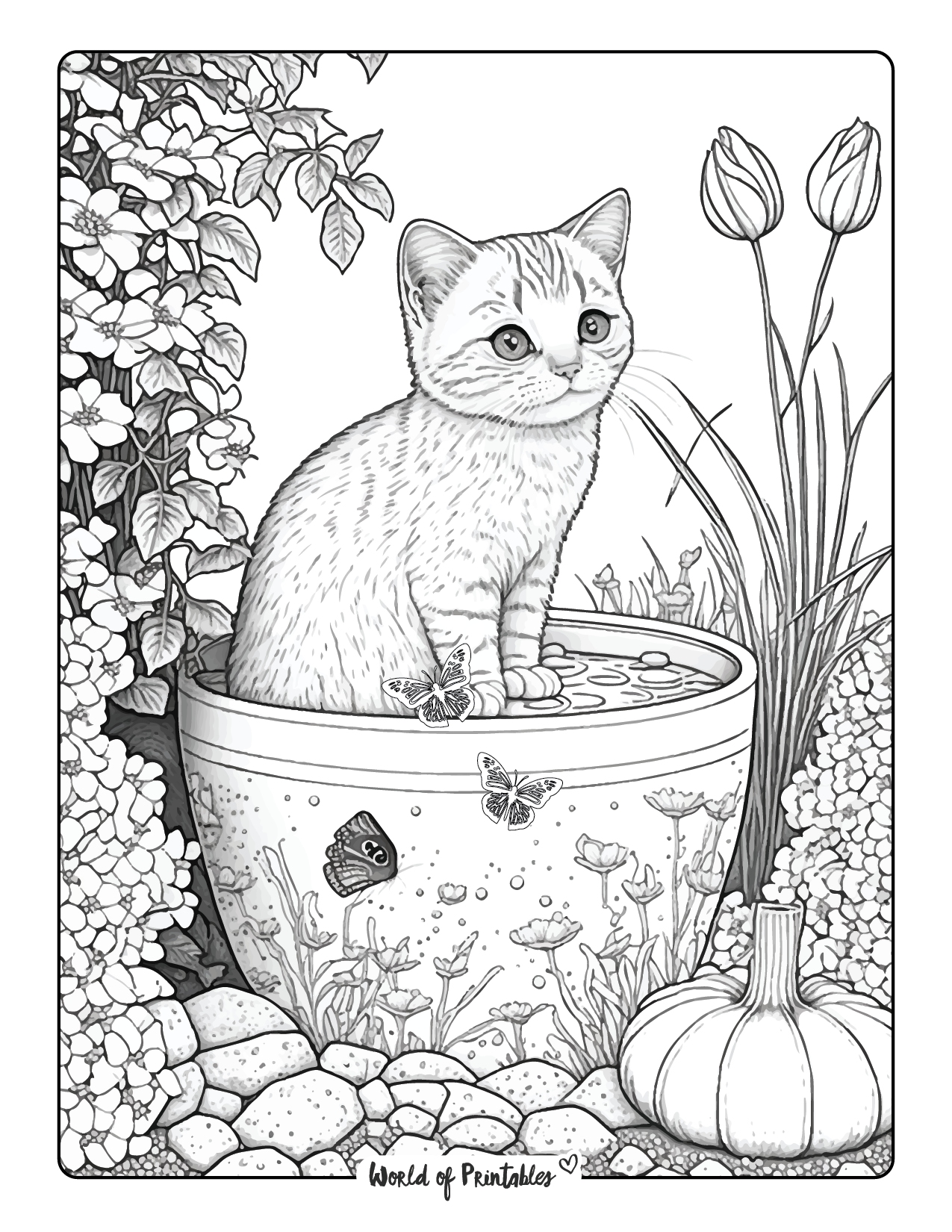 Cat Colouring Pages For Kids Printable Free Coloring Sheet Printables 