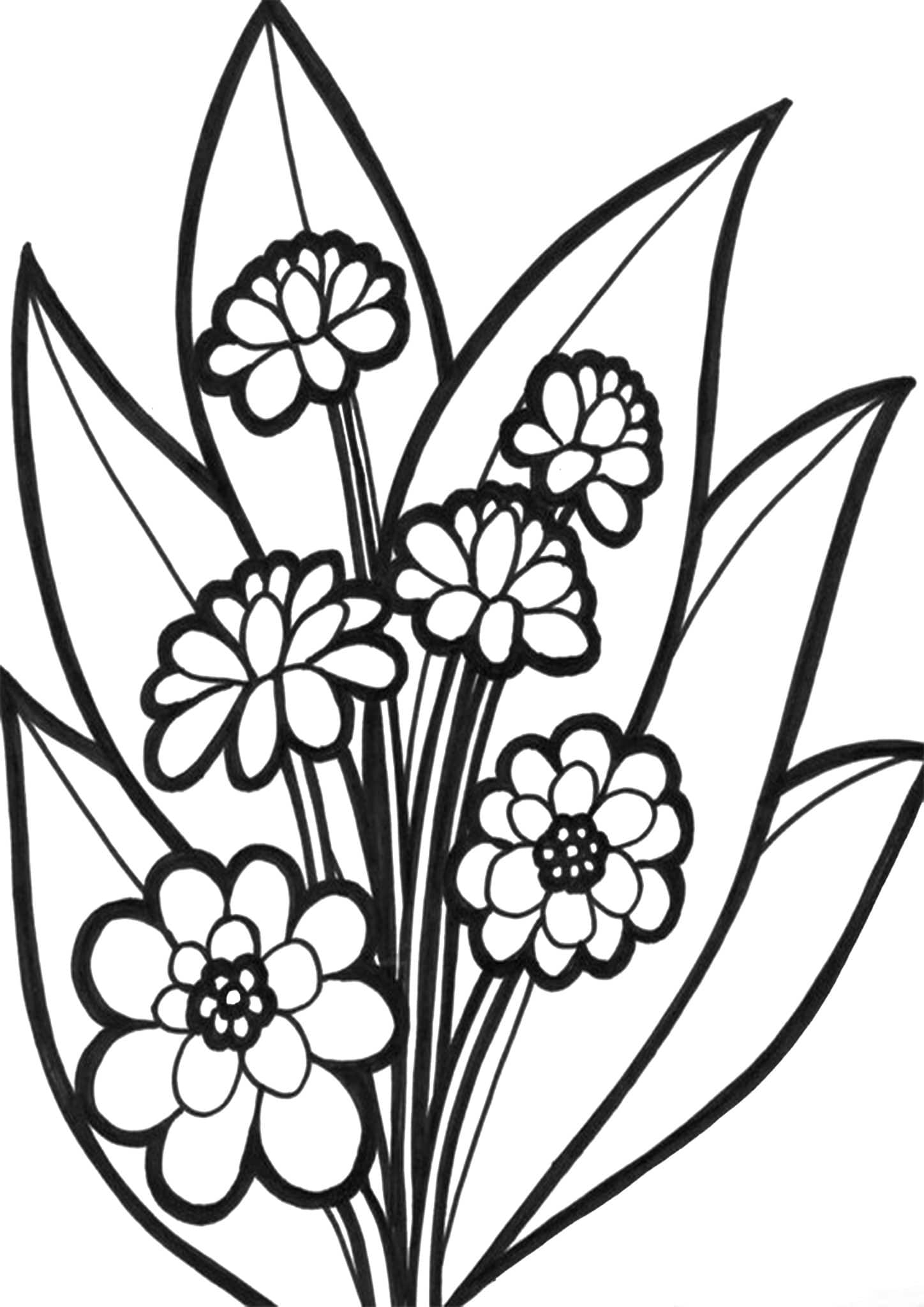 Coloring Pages Printable Flower