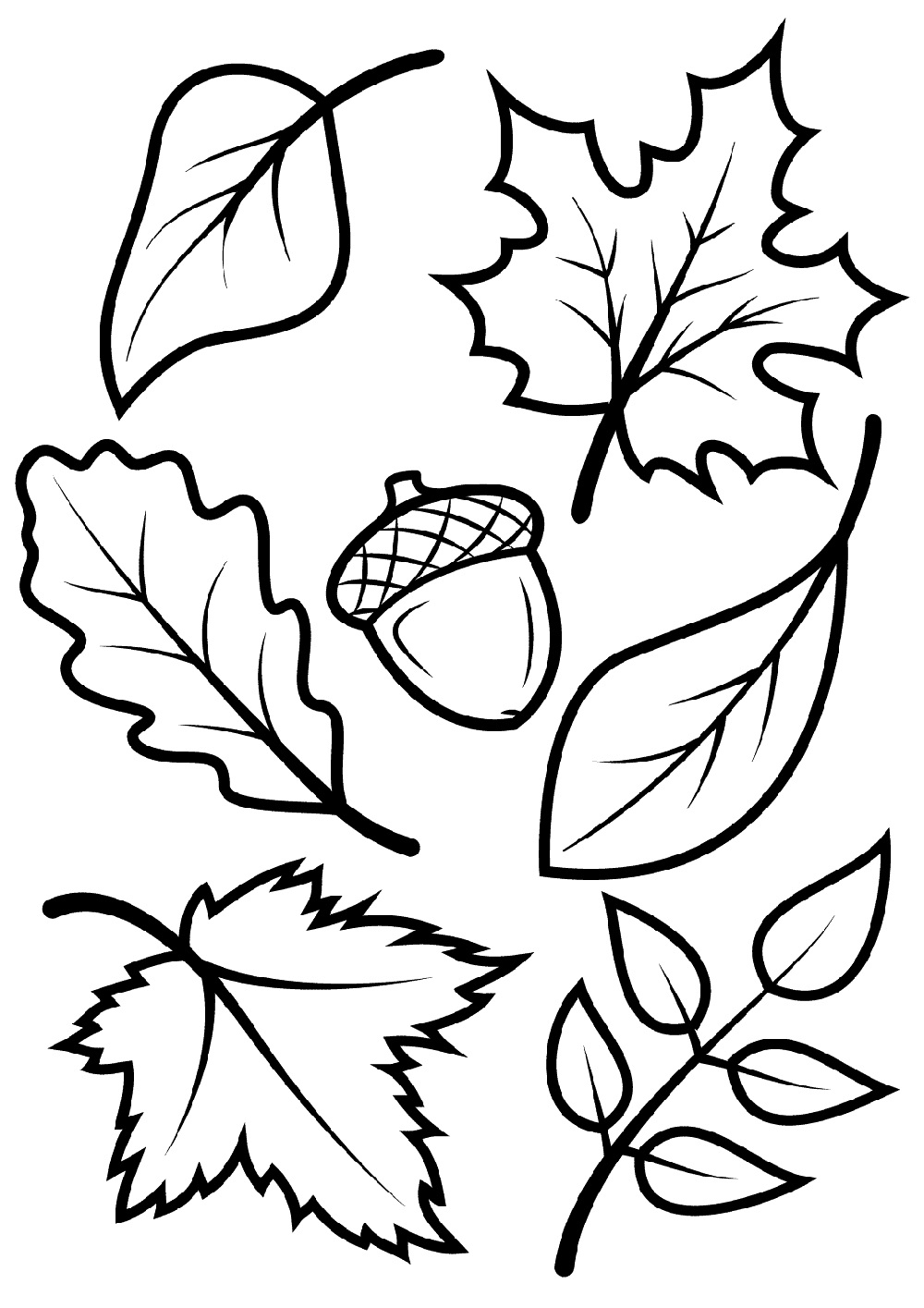 Fall Leaves Printable Coloring Pages Portal Tribun