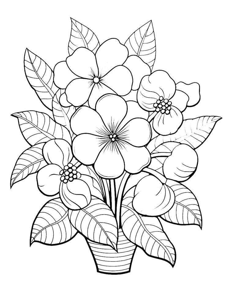 Flower Coloring Sheets Printable Printable Word Searches