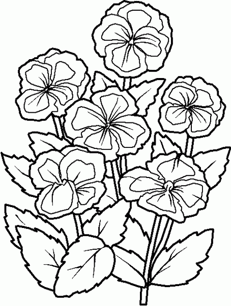 Flowers Coloring Page