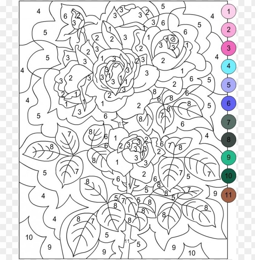 Free Download HD PNG Color By Number Coloring Pages For Adults PNG 
