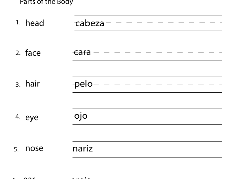 Free Printable Beginning Spanish Worksheet