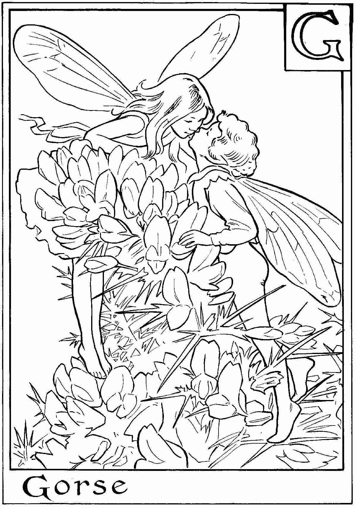 Free Printable Fairy Coloring Pages For Kids Free Printable Fairy Coloring Pages For Kids