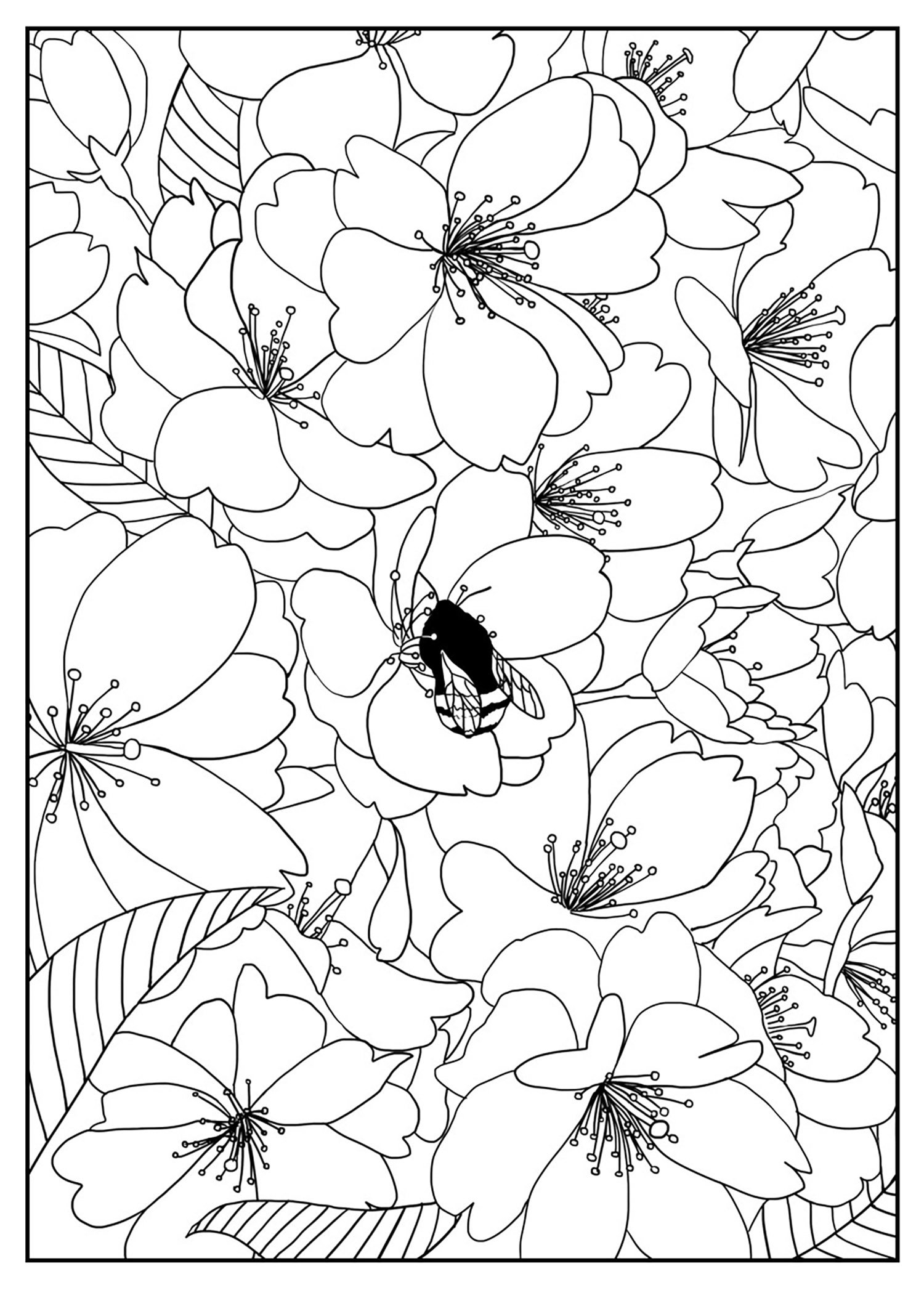 Free Printable Flower Coloring Pages For Kids Best Coloring Pages For 