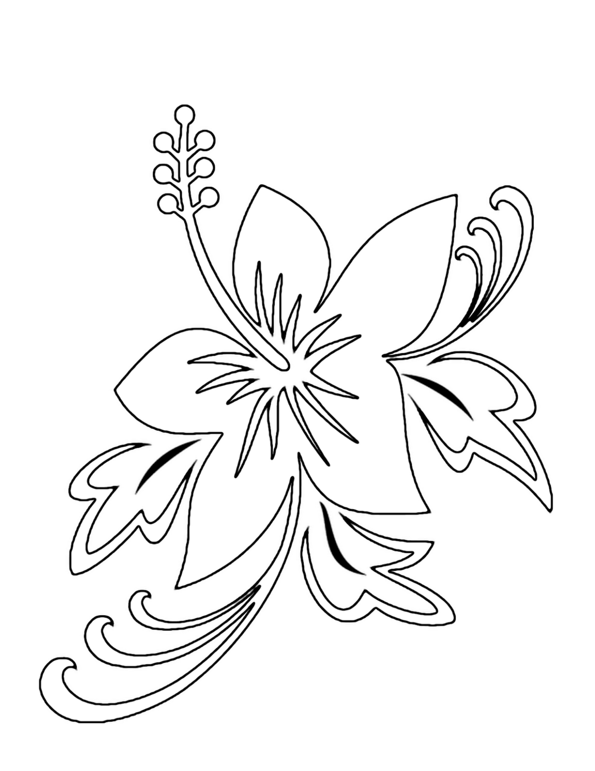 Free Printable Flower Coloring Pages For Kids Best Coloring Pages For 