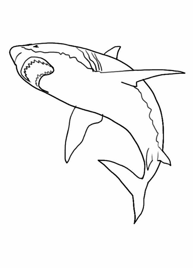 Free Printable Shark Coloring Pages For Kids