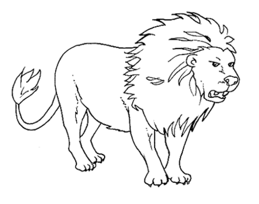 Free Wild Animals Coloring Pages Download Free Wild Animals Coloring 