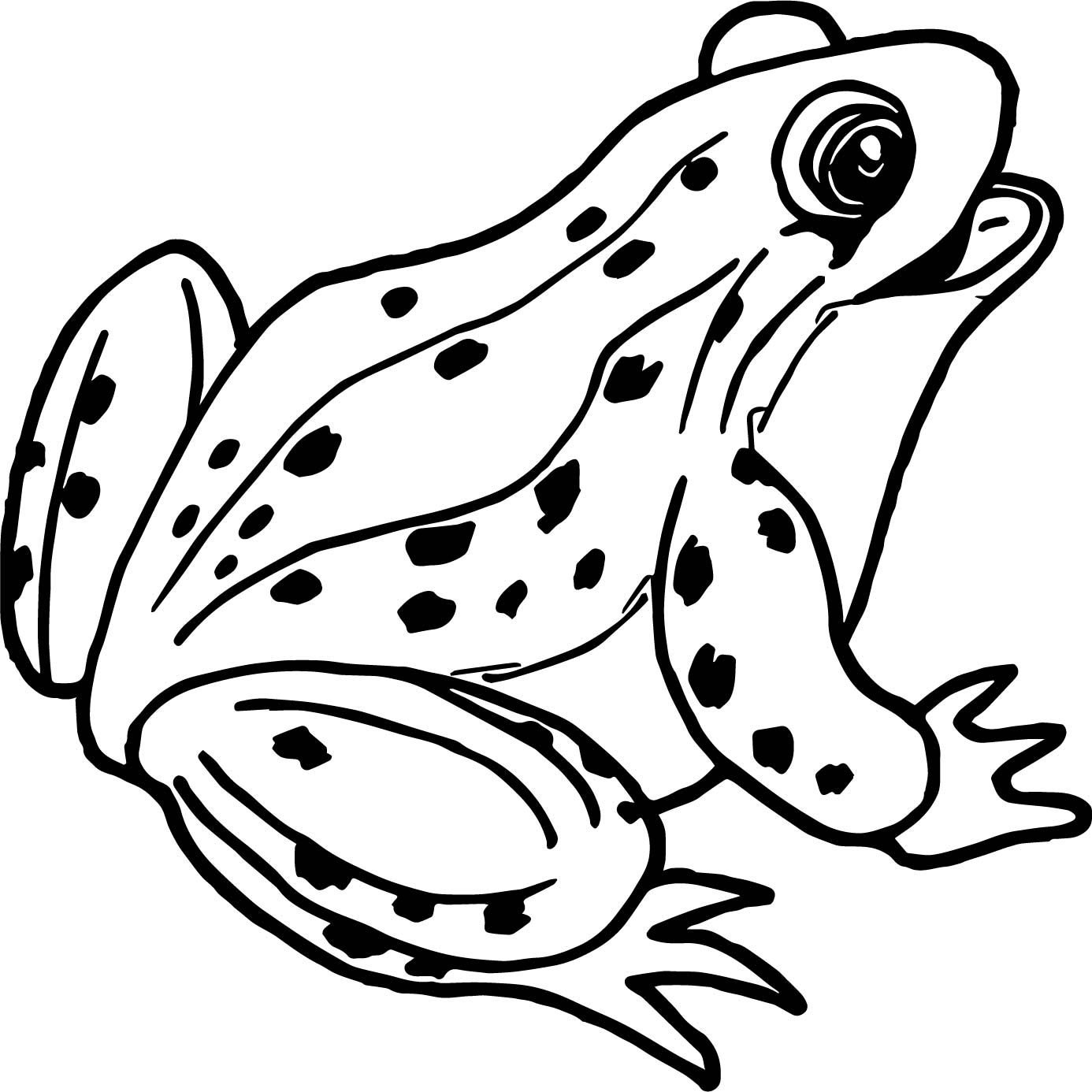 Frog Coloring Pages Learny Kids