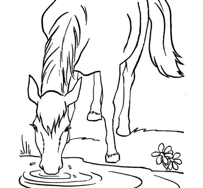 Horse Coloring Pages