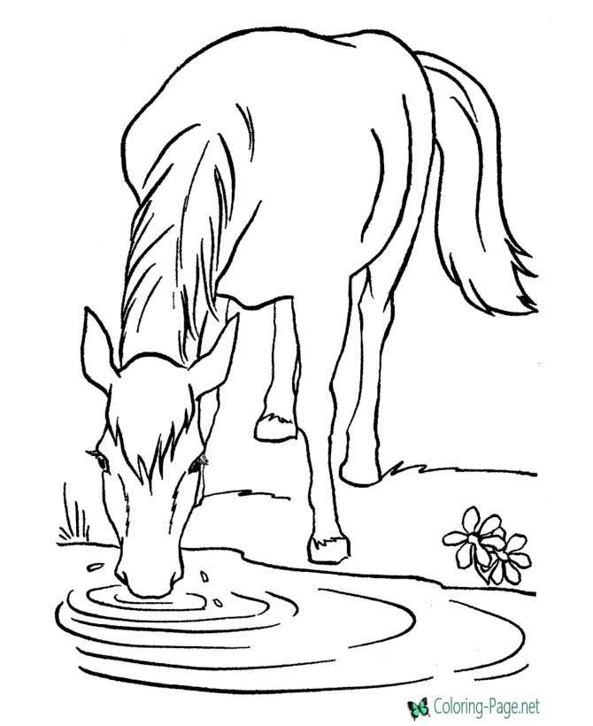 Horse Coloring Pages
