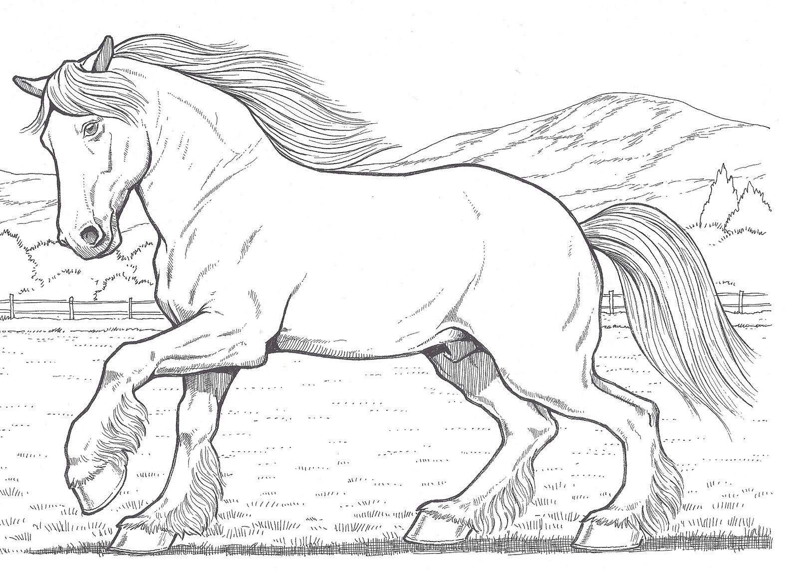 Horse Trotting Coloring Page Horse Coloring Pages Hor Vrogue co