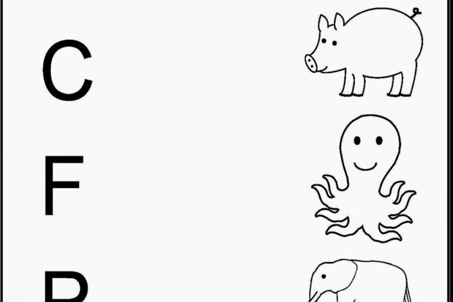 Kindergarten Work Sheets