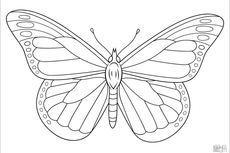 Monarch Butterfly Coloring Page ColoringBay