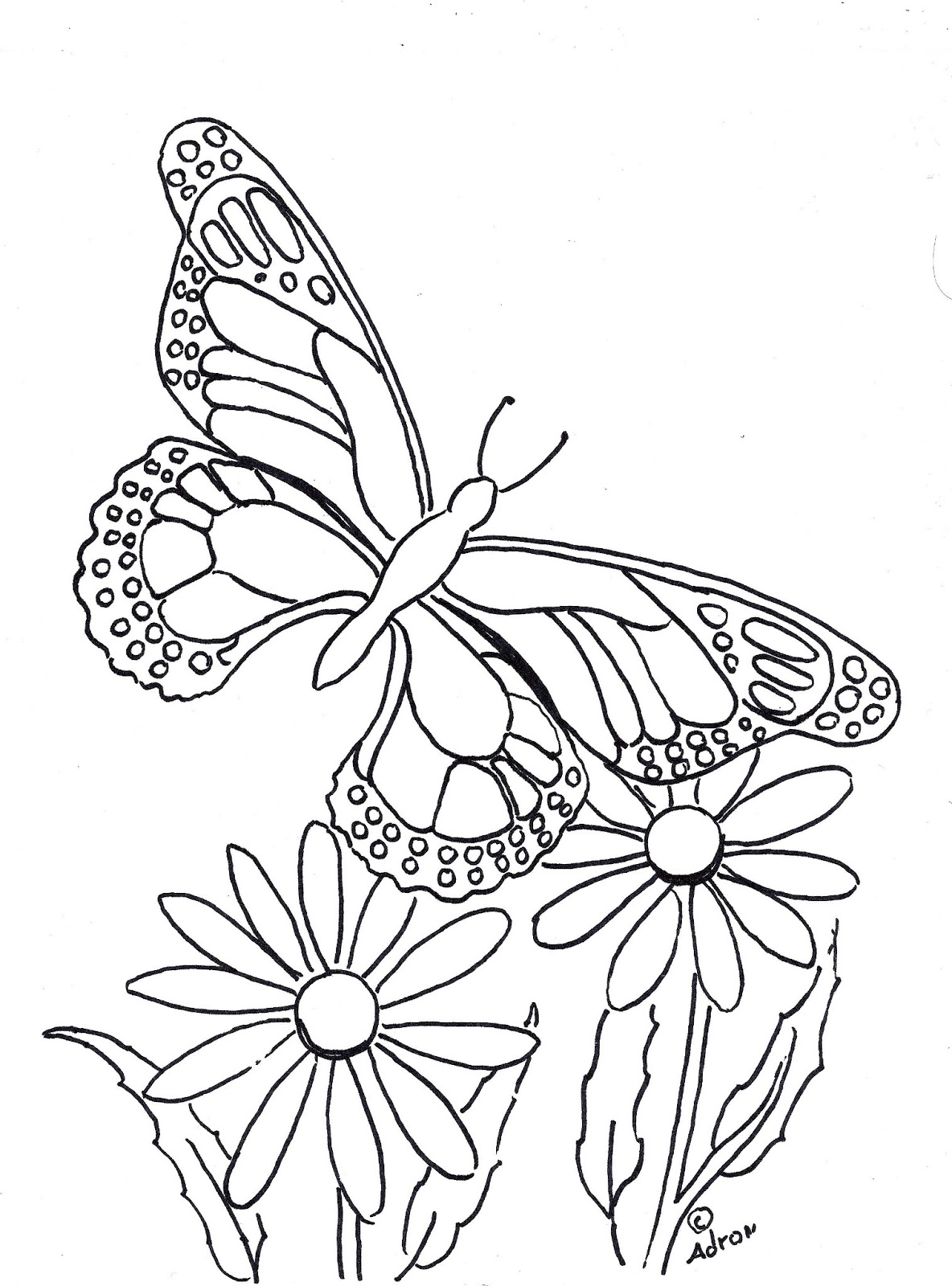 Printable Butterfly Coloring Pages