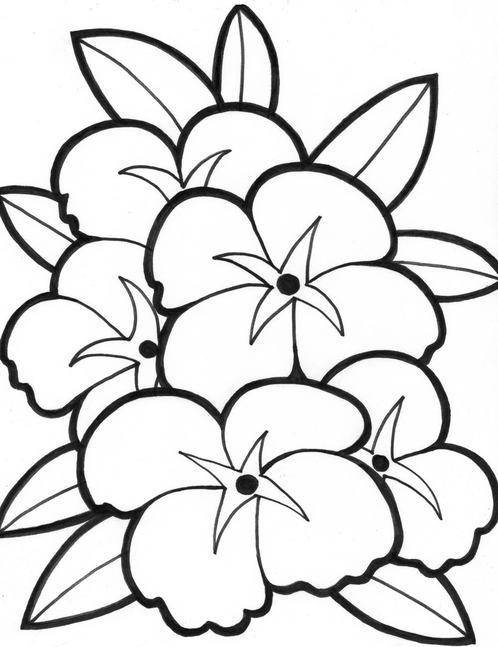 Printable Flower Coloring Page Printable Word Searches