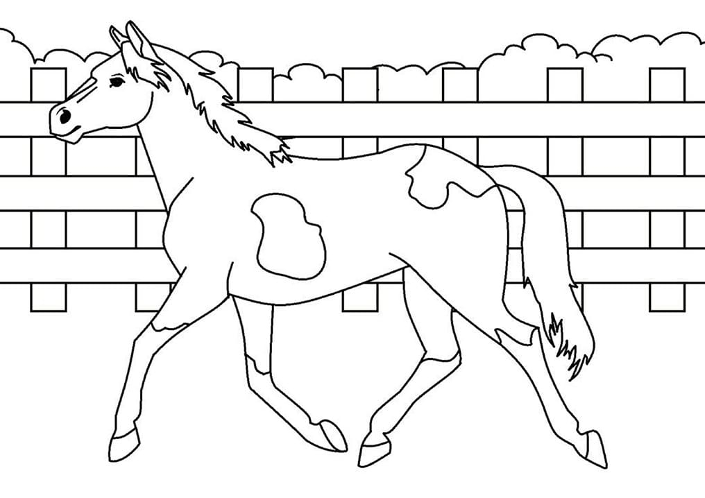 Printable Horse Coloring Page Download Print Or Color Online For Free