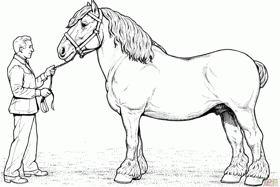 Printable Horse Coloring Sheets
