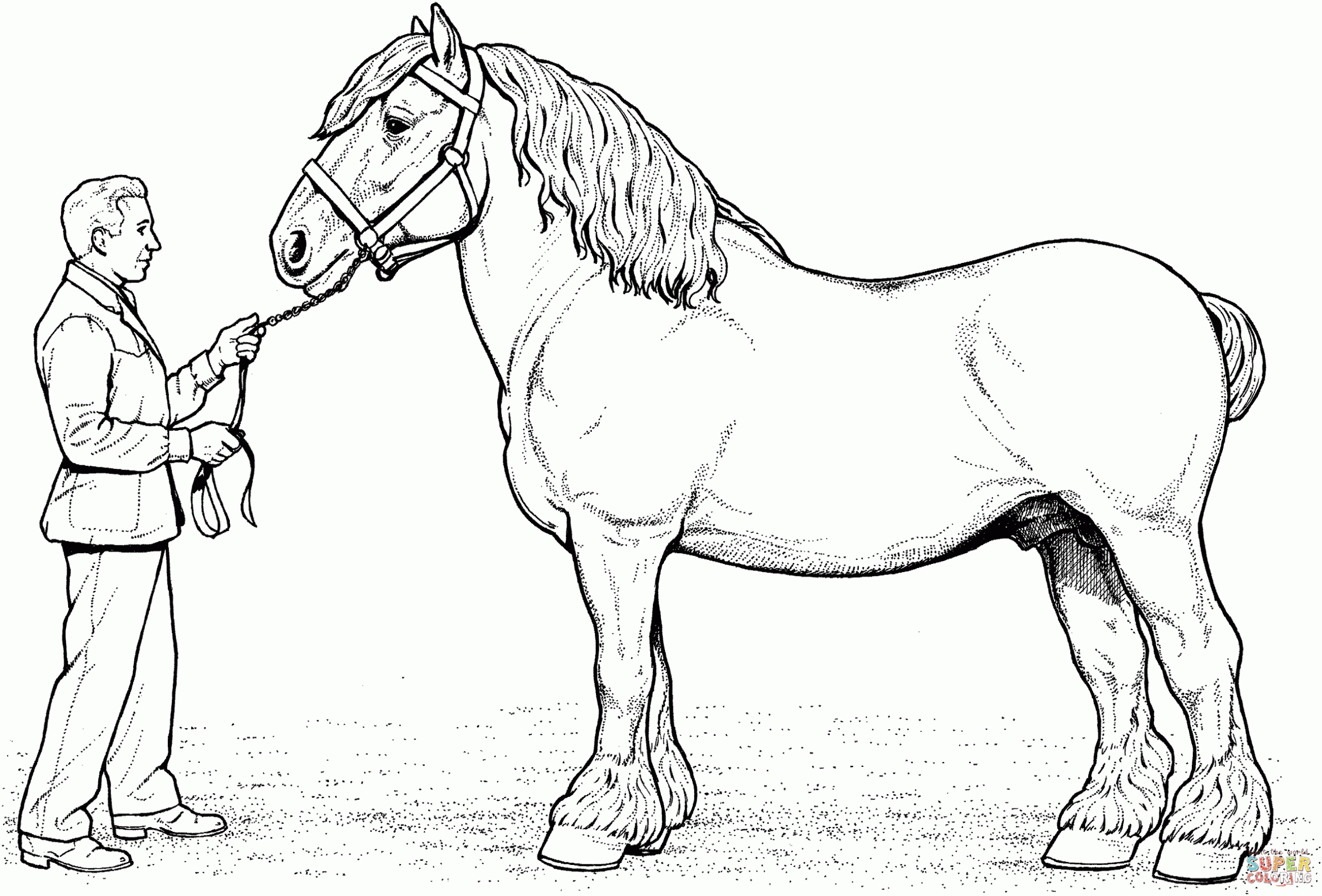 Printable Horse Coloring Sheets