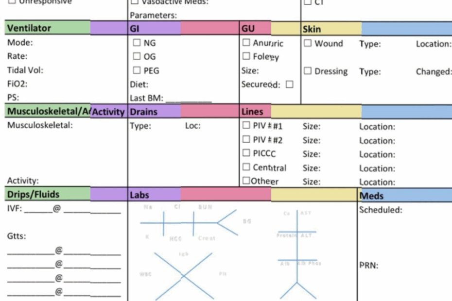 Printable Nurse Brain Sheet