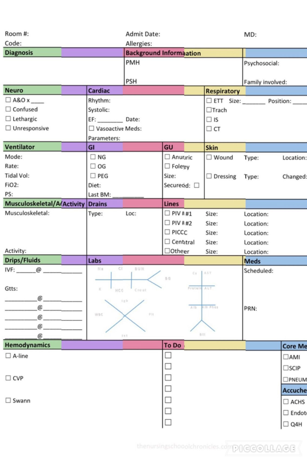 Printable Nurse Brain Sheet