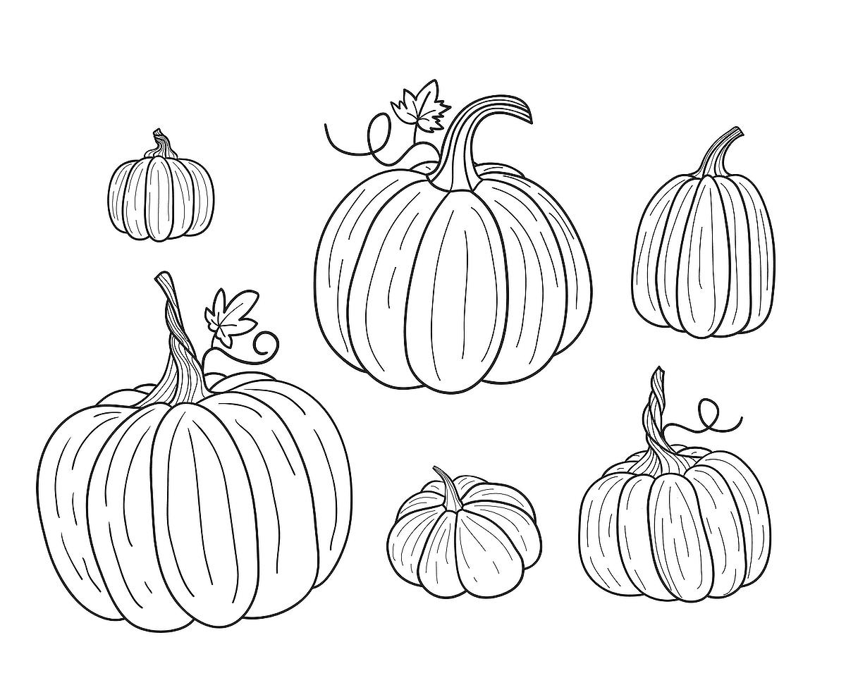 Pumpkin Coloring Sheet Printable Free Printable Pumpkin Coloring Pages 